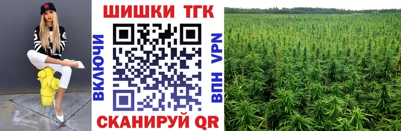 Купить закладку Alpha PVP  АМФЕТАМИН  Меф  ГАШ  Канабис  Исилькуль
