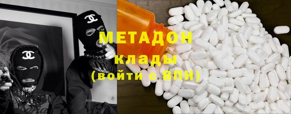 сатива Карпинск
