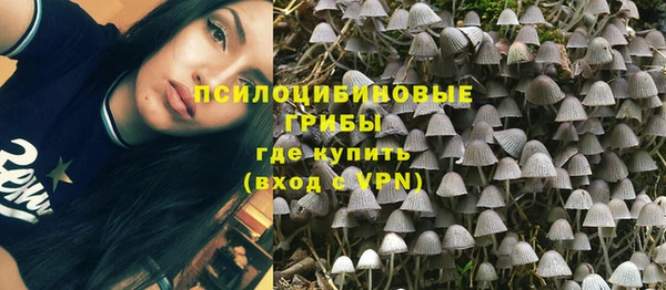 амф Касимов