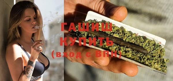 сатива Карпинск