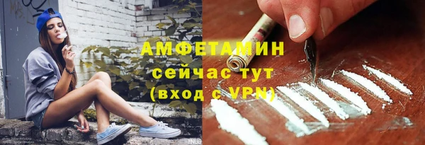 амф Касимов