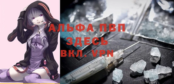 сатива Карпинск