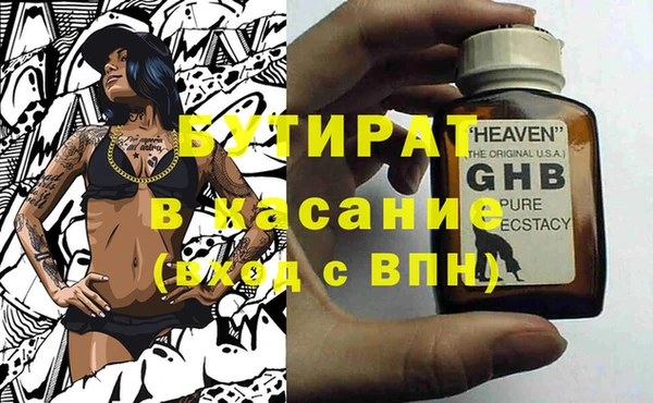 сатива Карпинск