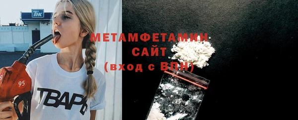 сатива Карпинск