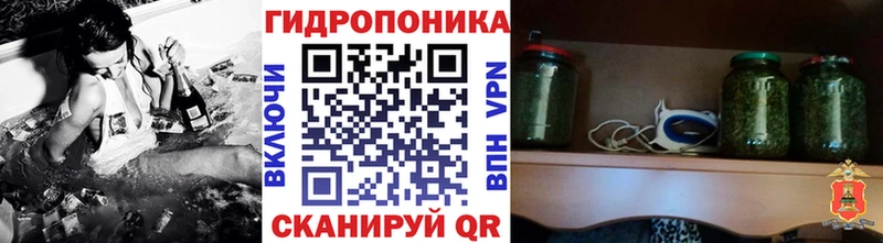 Каннабис сатива Исилькуль